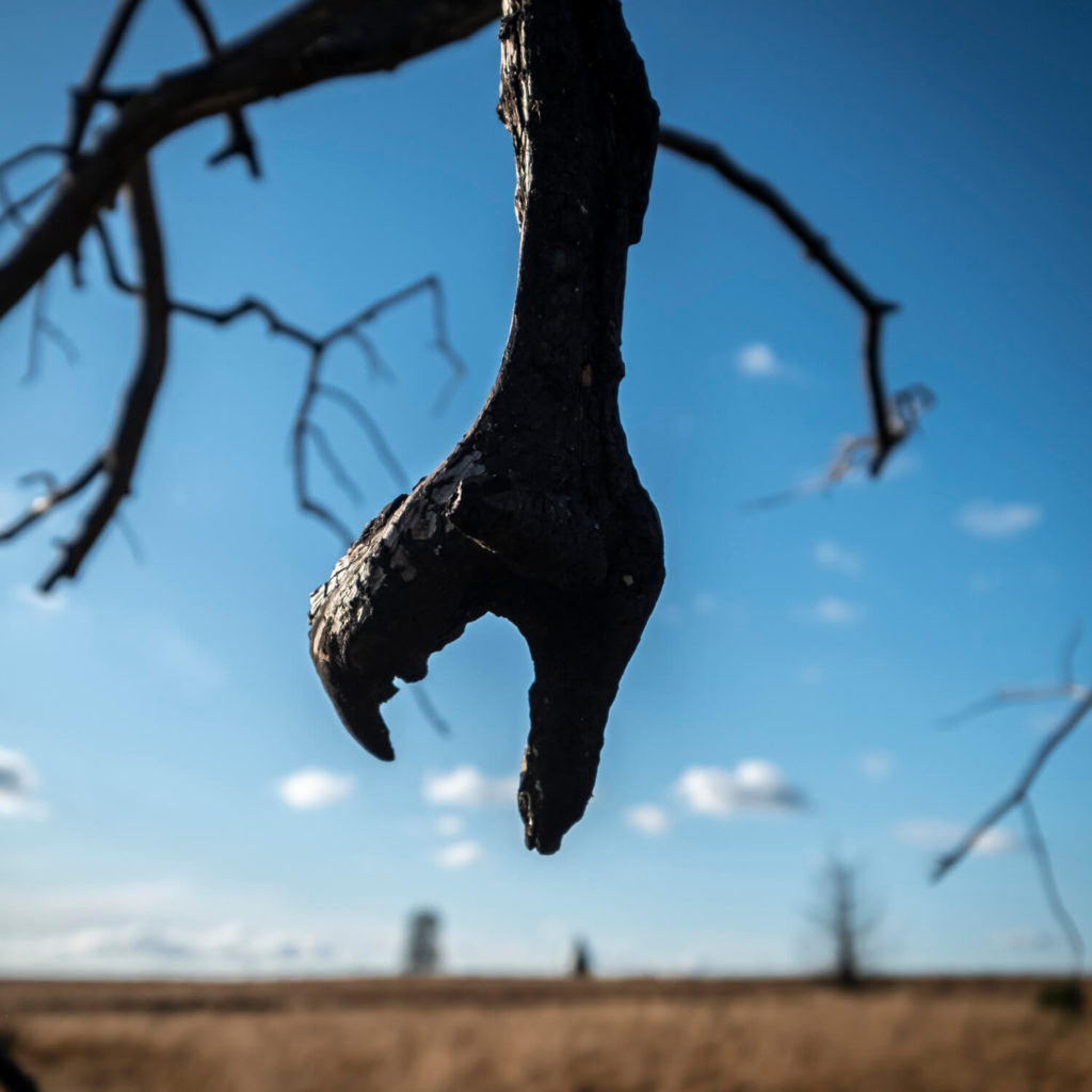 Photo abstraite lors d'une blade photo dans un paysage des Hautes fagnes.