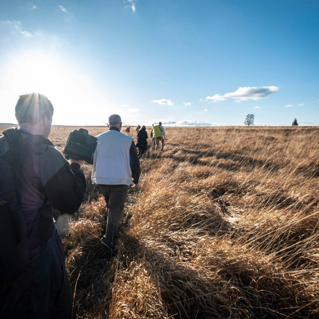 Balade photo dans une pleine des Hautes fagnes.