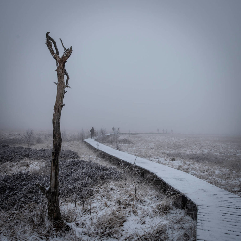 Balade photo sur un cailleboti enneigé des Hautes fagnes.