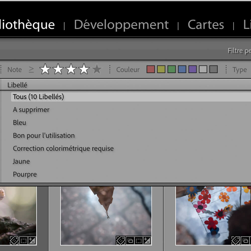 Formation retouche photo avec Lightroom Classic. Organiser sa photothèque.
