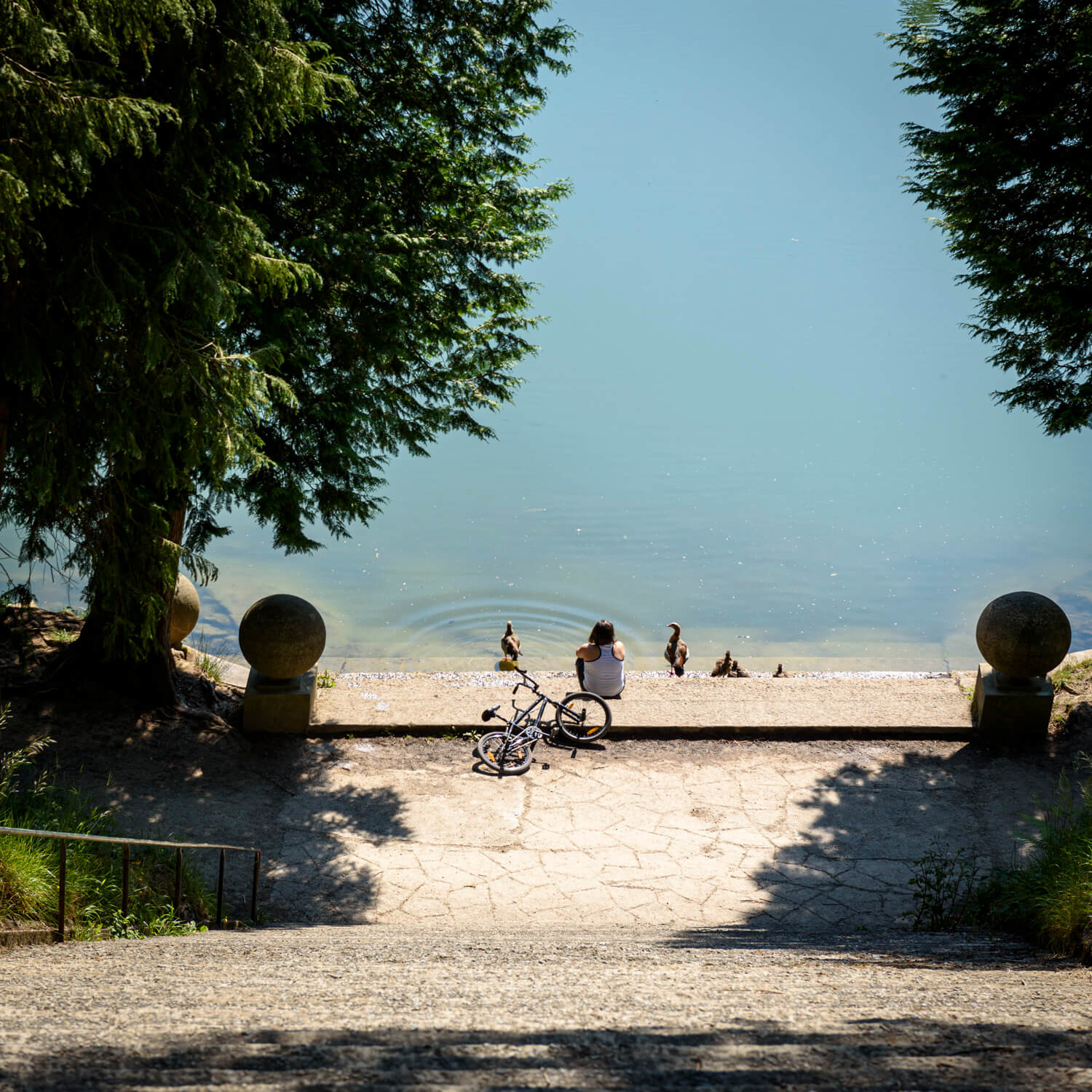 Balade photo coachée au château de La Hulpe