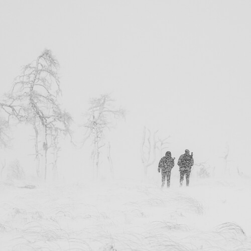 Balade photo coachée dans les Hautes Fagnes enneigées