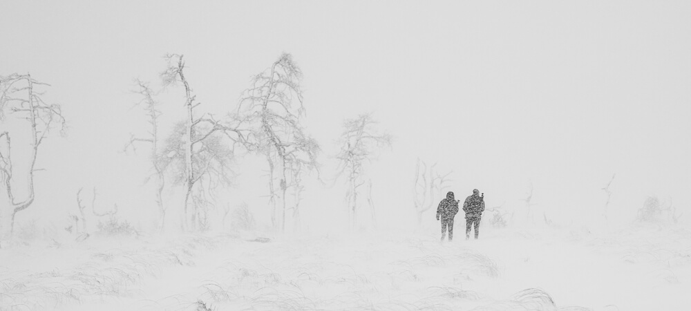 Balade photo dans la neige des Hautes Fagnes