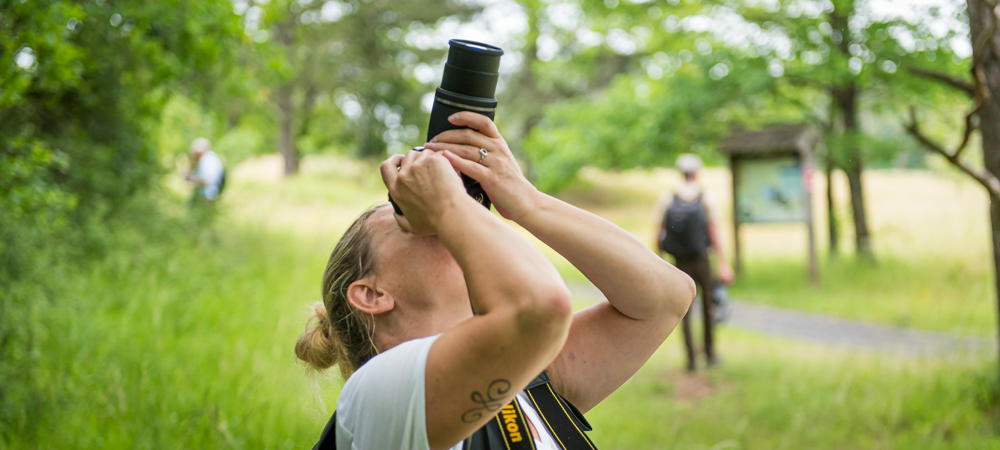 Cours de photographie pour débutants