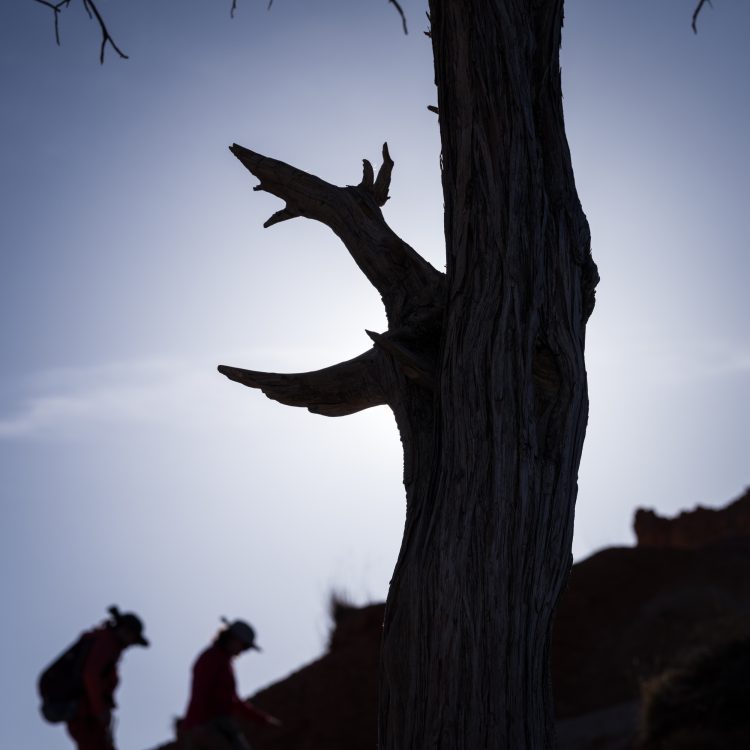 Le coup de bol ça n'existe pas